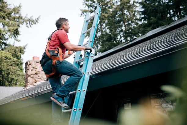 Gutter Replacement in Wilkinson Heights, SC