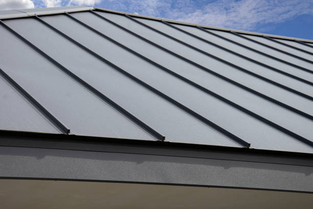 Best Skylight Installation and Repair  in Wilkinson Heights, SC