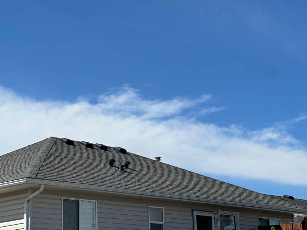 Siding in Wilkinson Heights, SC